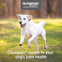 Load image into Gallery viewer, Nutramax Cosequin for Dogs Joint Health Supplement, Contains Glucosamine for Dogs, Plus Chondroitin, MSM and HA, Supports Healthy Joints, Chewable Tablets, 150 Count
