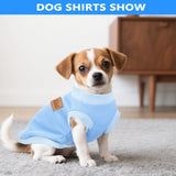2 Pack Dog Shirt Vest Dog Clothes for Small Dogs Summer Waffle Puppy T-Shirts Soft Sleeveless Pet Clothes Lightweight Medium Large Doggy Outfit Cat Clothing (Blue+Grey, XX-Large)