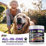 Clean Pets Hip and Joint Supplement Dogs with Glucosamine for Dogs + Chondroitin, Turmeric, Hyaluronic Acid, MSM, Salmon Oil, Collagen, Vitamin C, Omega 3 Senior Dog Supplements Beef Flavor - 1Pack