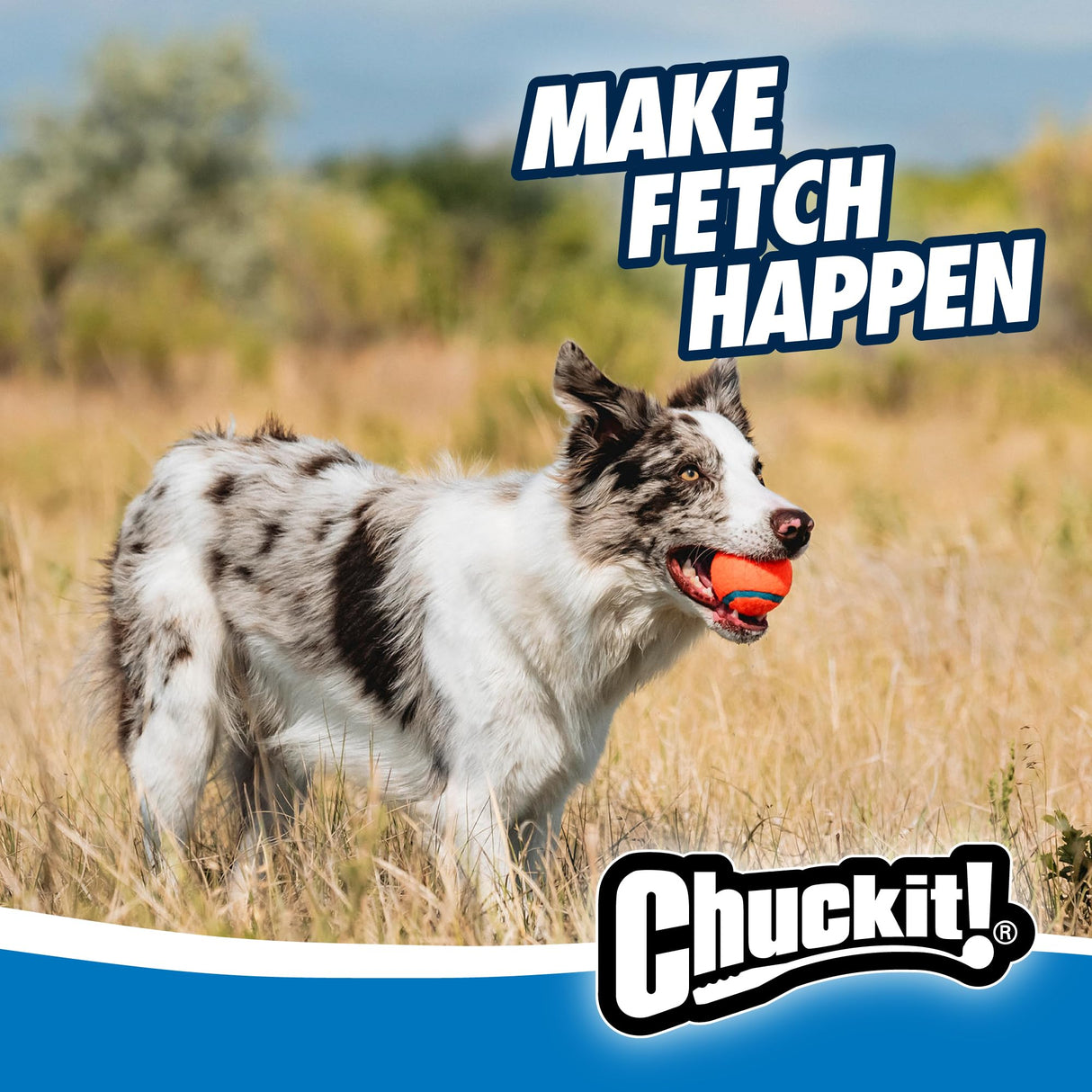 Chuckit! Ultra Dog Ball & Launcher Bundle Classic 26M 26" Length with 2 Pack Medium (2.5") Bouncy Fetch Balls for Dogs 20-60 lbs, Dog Fetch Ball Thrower