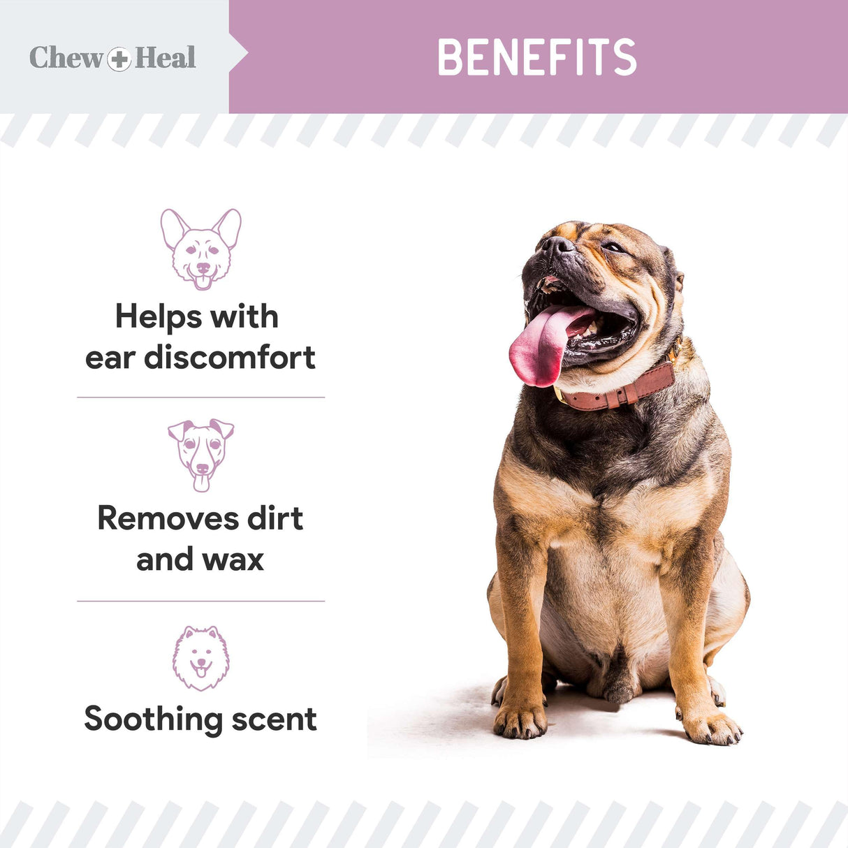 Chew + Heal Labs Dog Ear Cleaner - Medicated Dog Ear Buildup Drops for Dirt and Wax - 12 oz Advanced Flush with Chlorohexidine and Ketoconazole - Made in The USA