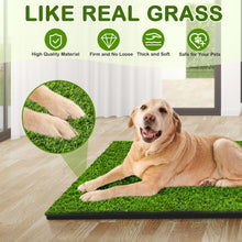 Load image into Gallery viewer, Dog Grass Pad with Tray, 34''X23'' Large Artificial Turf Grass Potty, Reusable Puppy Pee Pads for Dogs, Portable Dog Litter Box for Indoor/Outdoor Potty Training Toilet
