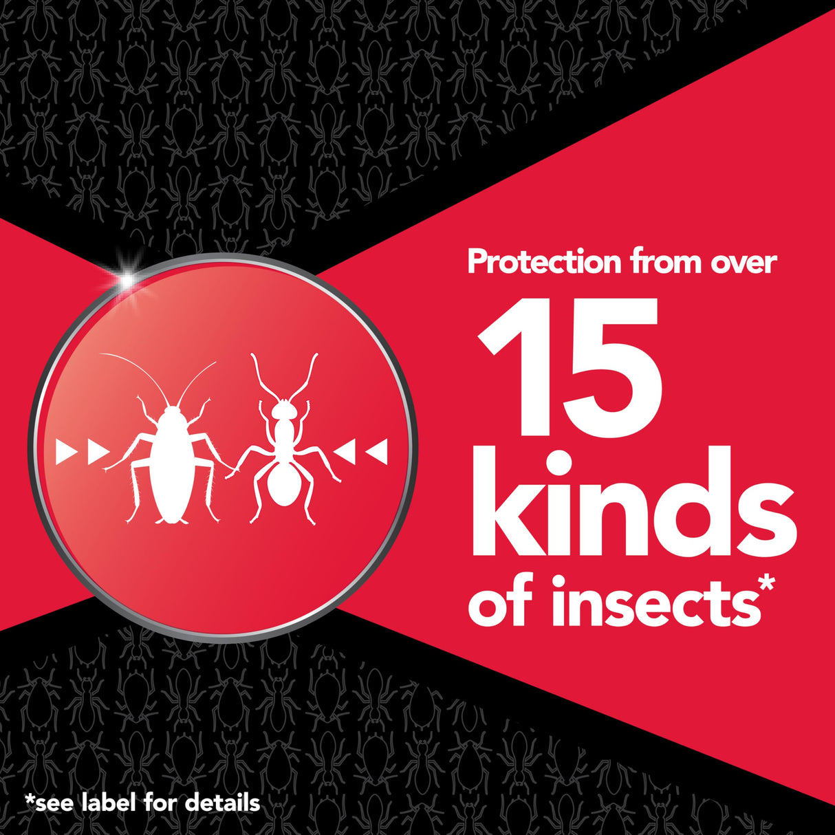 Raid Max Perimeter Protection, Multi Insect Killer Spray for Bugs, 30 fl oz (Pack of 2)