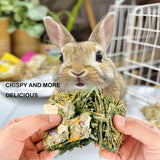 GREMBEB Rabbit Toys 24pcs Bunny Toy Guinea Pig Treats Timothy Hay Chew Toys Chips with Herbal Flowers Hamster Snacks Chinchillas Gerbils for Teeth Apple Sticks Sweet Bamboo