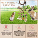 Bissap Bunny Chew Toy, 2 Packs Rabbits Cage Hanging Chew Toys and Treats Rattan Ring with Snacks for Guinea Pigs Chinchillas Hamsters Rats and Other Small Pets Teeth Grinding