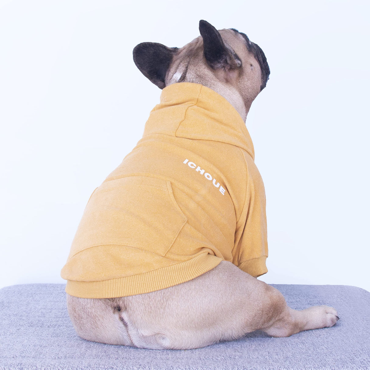iChoue Exclusive Luxury Soft Pro French Bulldog Clothes Hoodies Sweatshirt Coat for Medium Dogs Frenchie Pug English Corgi Boston Terrier Pitbull - Yellow/Size Small