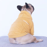 iChoue Exclusive Luxury Soft Pro French Bulldog Clothes Hoodies Sweatshirt Coat for Medium Dogs Frenchie Pug English Corgi Boston Terrier Pitbull - Yellow/Size Small