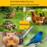 hatortpet Dried Black Soldier Fly Larvae 10LB-Pure Natural Non-GMO BSF Larvae for Chickens-More Calcium Than Mealworms High-Protein Chickens Treats for Layer Hens Wild Birds Ducks