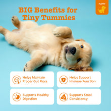 Load image into Gallery viewer, Zesty Paws Puppy Probiotics for Dogs - for Digestive Health, Gut Flora &amp; Immune System Support - Dog Probiotics for Puppies with Bacillus subtilis &amp; Pumpkin - 90 Count
