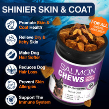 Load image into Gallery viewer, Omega 3 Skin and Coat Supplement for Dogs 200 Chews Dog Fish Oil Supplements with EPA &amp; DHA Fatty Acids Dry Skin Relief for Dogs Shedding Allergy Itching Promotes Heart Hip Joint Health Chicken Flavor
