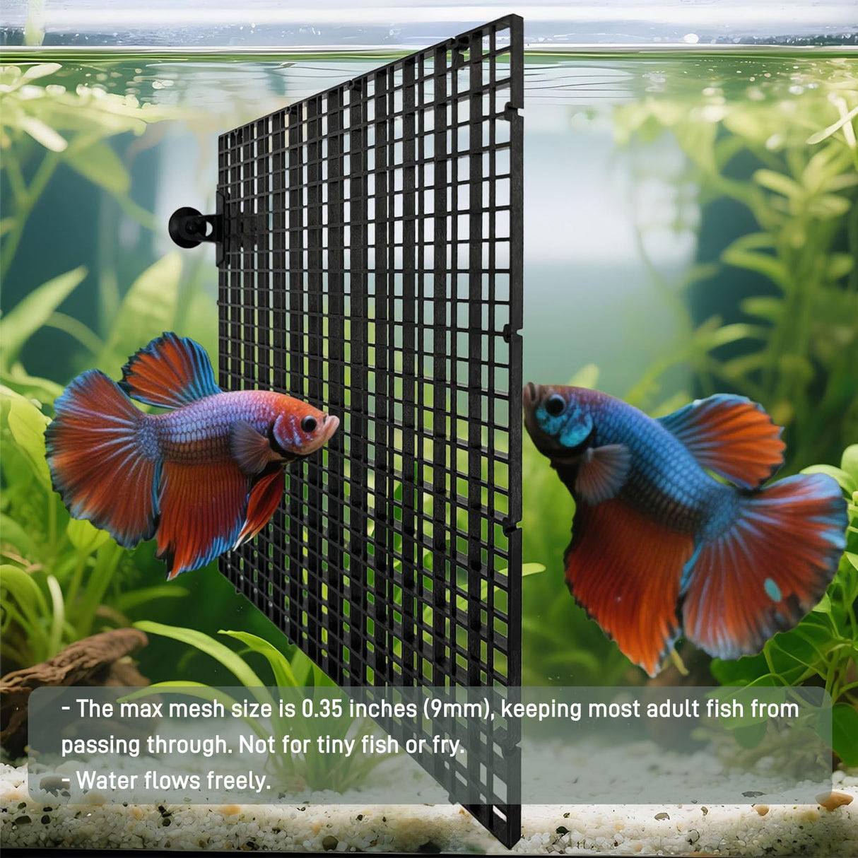 TQDXZA 0.35-Inch Black Aquarium Divider Panel 11.8"x11.8",8pacs - Strong Suction Cups, Easy Cut Design to Separate Fish (10-55 Gallon Tanks)
