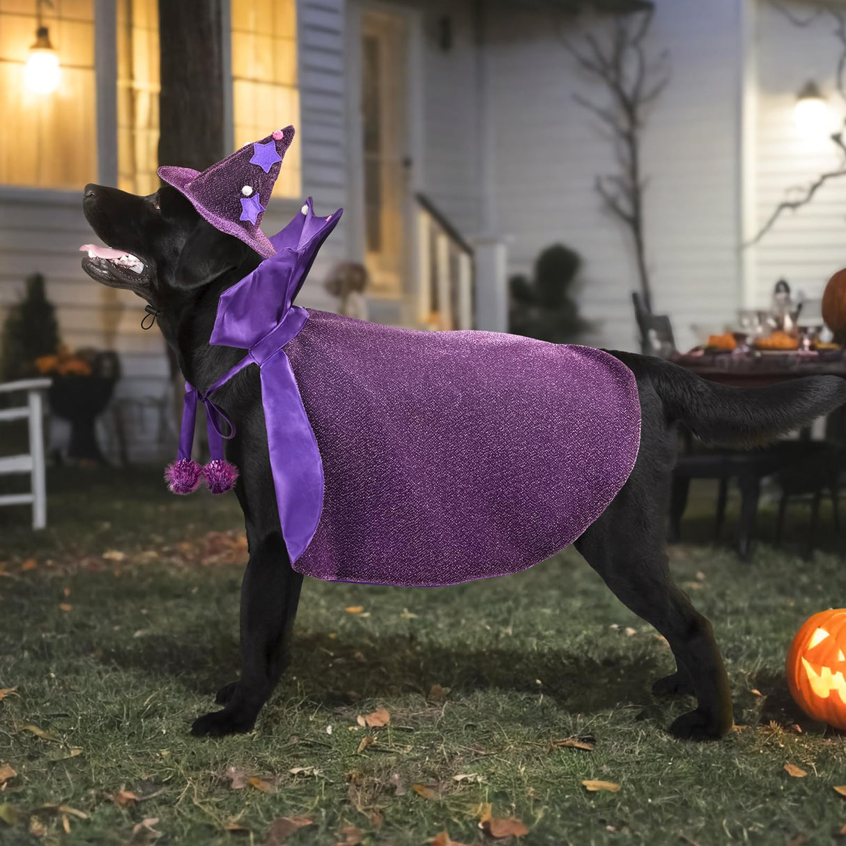 Vehomy Halloween Dog Costume Dog Witch Cape Witch Hat Set Pet Wizard Cloak Vampire Devil Outfit Puppy Cat Halloween Cloak Devil Clothes Outfit Apparel Cosplay for Small Medium Large Dogs 2Pcs XL