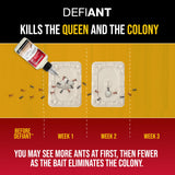 Catchmaster Defiant Premium Liquid Ant Killer, 1-Year Supply, Kills the Queen and Colony, No Mess Precision Bottle, Reusable Ant Traps Indoor & Outdoor, Pest Control Traps, Made in USA