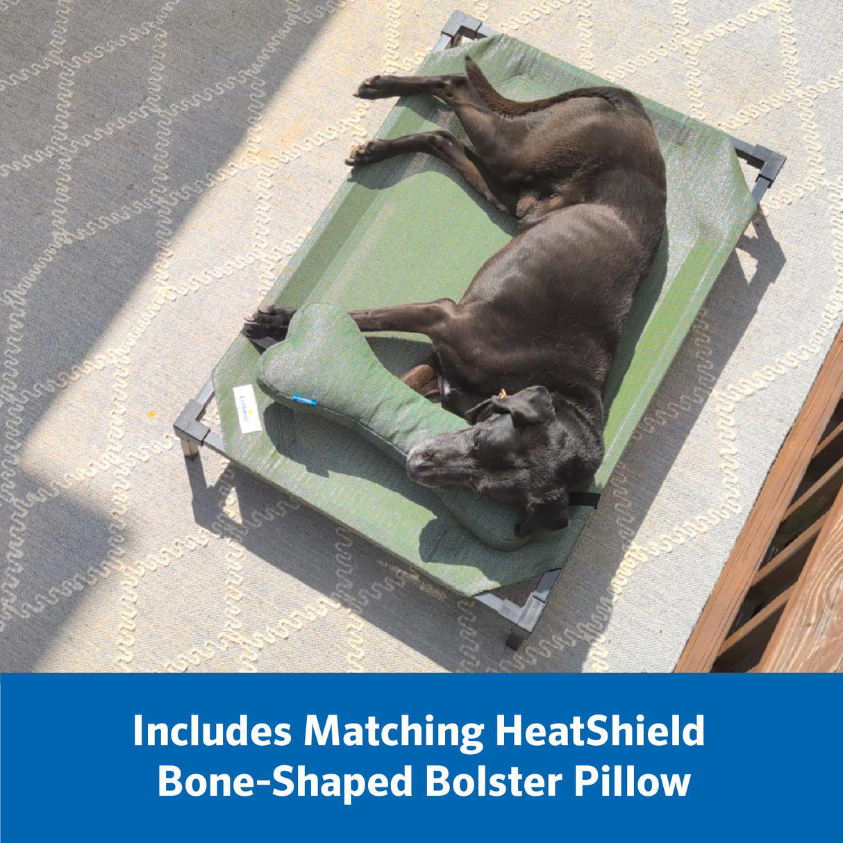 Coolaroo Pro Elevated Dog Bed with HeatShield Fabric – Advanced Cooling Raised Cot for Medium & Large Breeds, Easy-Clean, Low-to-Ground Access, Bonus Bolster Pillow – Everglade Green
