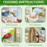 ERKOON 2.5LB Spray Millet Treat, All Natural Sun-Dried Healthy Treat Parrot Food Bird Snack for Parakeets, Lovebirds, Cockatiels, Finches, Budgies, Canaries Hamster, Bird Food Bulk
