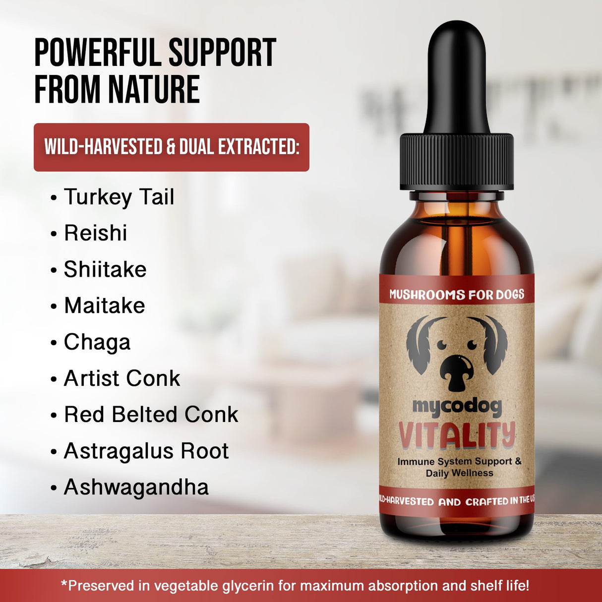 MycoDog Vitality - Mushroom & Adaptogen Supplement for Dogs - Immune Health, Senior Dog, & Daily Wellness Support - Turkey Tail Mushroom for Dogs, Reishi, Chaga