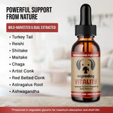 MycoDog Vitality - Mushroom & Adaptogen Supplement for Dogs - Immune Health, Senior Dog, & Daily Wellness Support - Turkey Tail Mushroom for Dogs, Reishi, Chaga