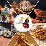 REPTI ZOO 75W Reptile Heat Lamp Bulb, 2PCS Day & Night Basking Spot Light Combo Pack Includes Infrared Heat Lamp and UVA Daylight Heating Lamp Basking Light