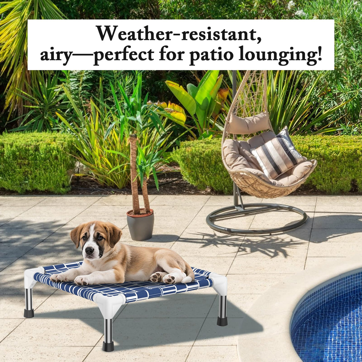 Elevated Dog Bed - Soft Comfortable Fabric, Easy to Clean, Stainless Steel Frame, Raised Design for Air Circulation, Durable Pet Cot for Small Dogs, Breathable & Stable Puppy Bed