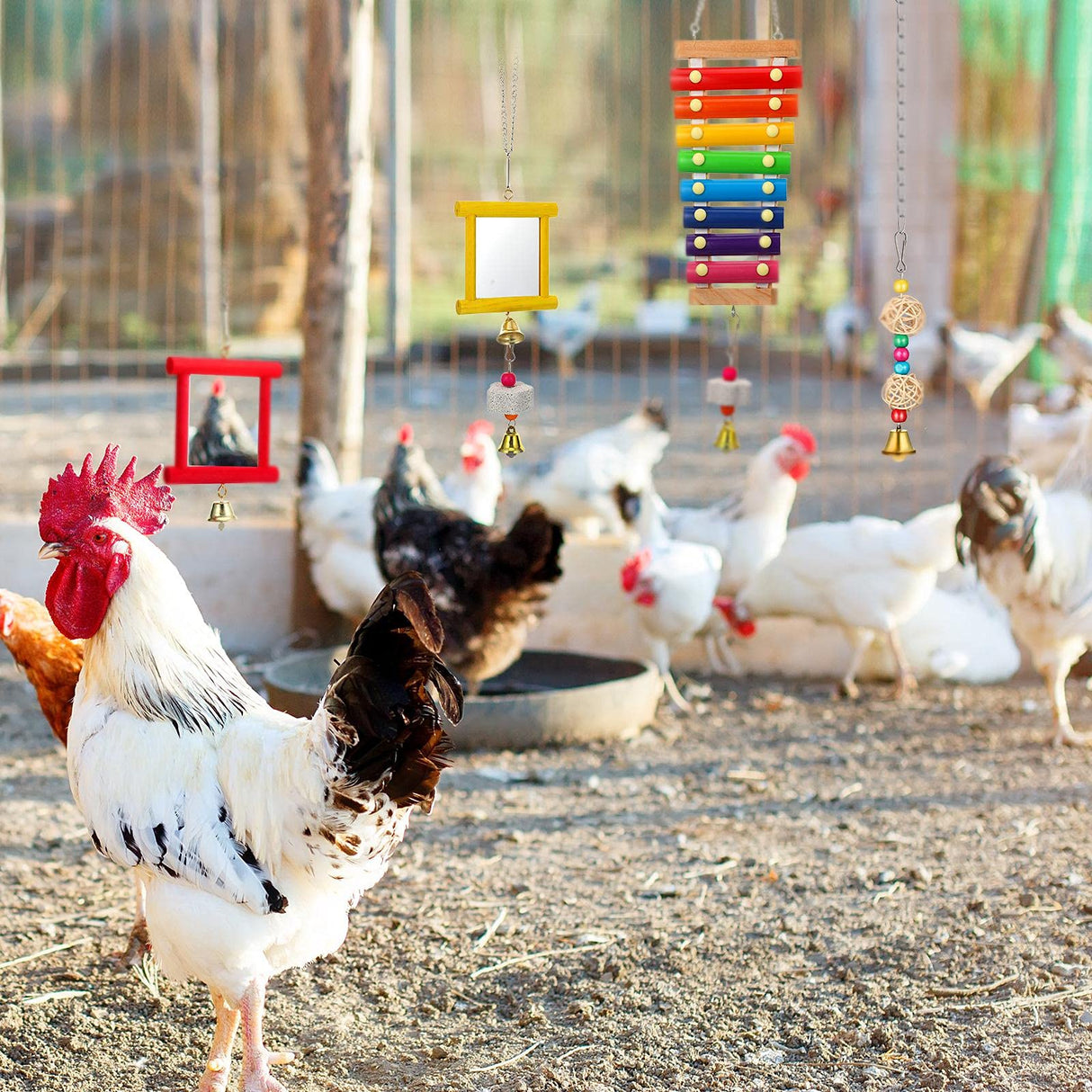 Sumind 6 Pieces Chicken Mirror Chicken Toys for Coop with Bells, Hen Xylophone Toy with 8 Metal Keys, Parrot Grinding Stone, Sepak Takraw Toy, Dangling Bird Toy