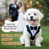GLIDESMOOTH Dog Tuxedo for Wedding, Pet Tuxedo Suit with Bow Tie, Pet Costumes for Small Dogs, Formal Party Attire for Halloween Christmas, Medium, Black White