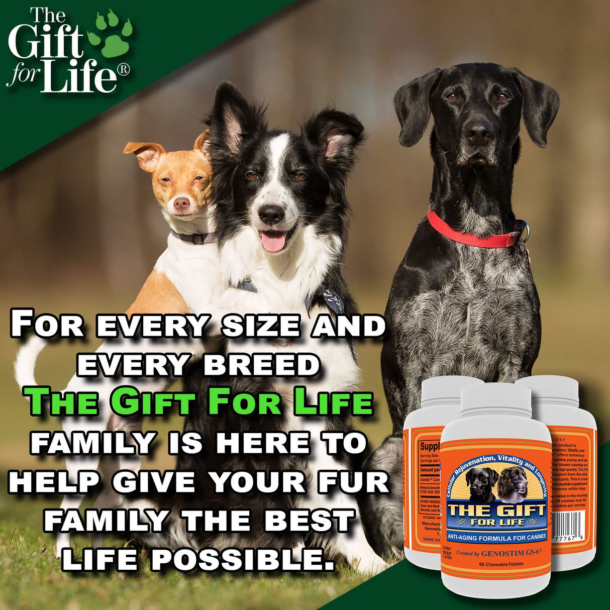 The Gift For Life Canine: Champion Your Dog's Health Journey!