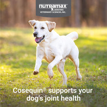 Load image into Gallery viewer, Nutramax Cosequin for Dogs Joint Health Supplement, Contains Glucosamine for Dogs, Plus Chondroitin and MSM, Supports Healthy Joints, Chewable Tablets, 60 Count
