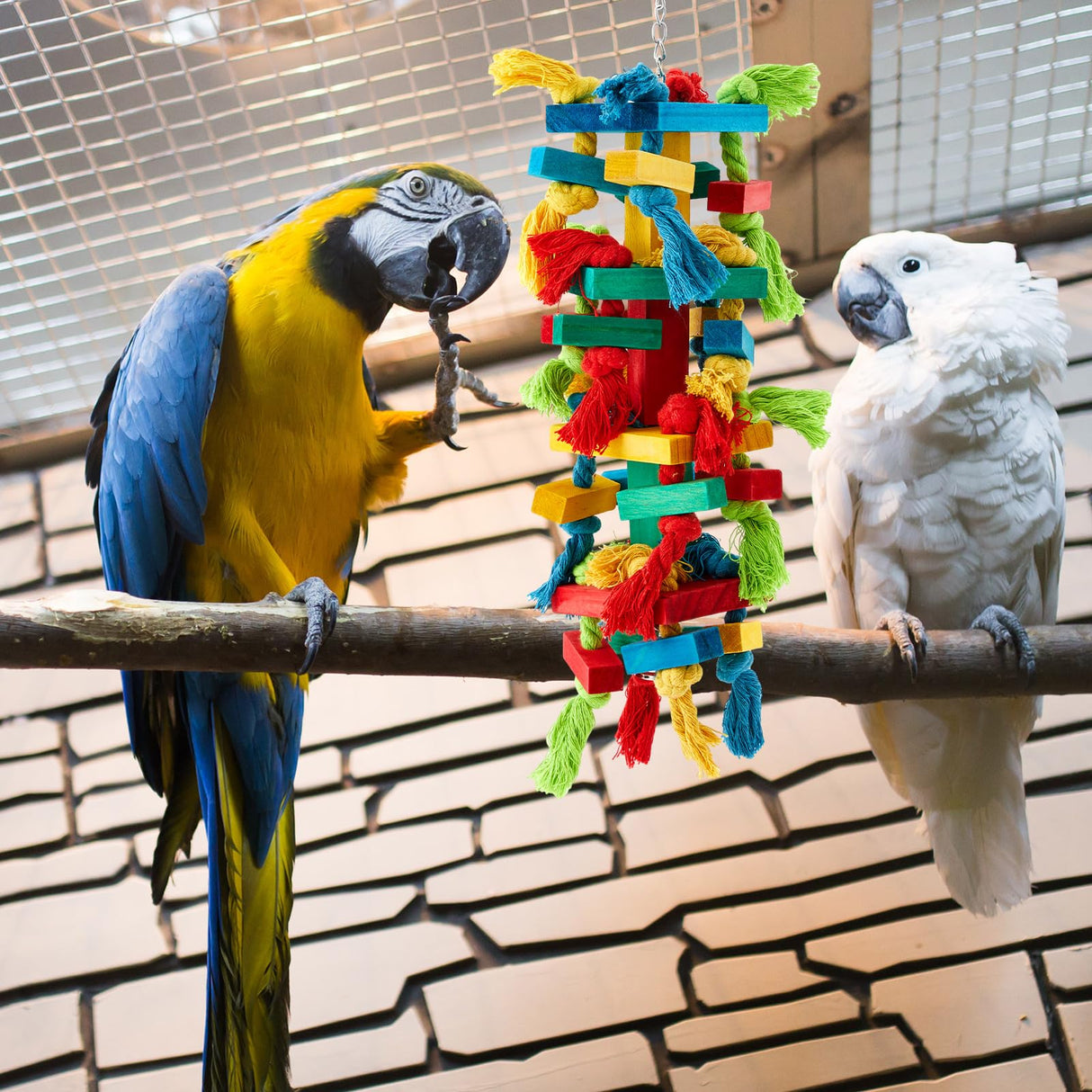 Seenelling 3 Pcs Extra Large Bird Parrot Toy Multicolored Natural Wooden Parrot Cage Chewing Toys for Large Medium Macaws Cockatoos African Grey Birds (Block and Ball)