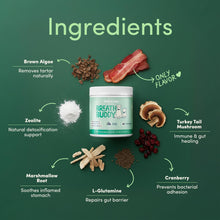 Load image into Gallery viewer, Fifth &amp; Fido Breath Buddy Dog Dental Powder for Fresher Breath &amp; Cleaner Teeth, Cat &amp; Dog Teeth Cleaning Powder, Removes Plaque, Gentle Formula for Sensitive Stomachs, Natural Ingredients, USA Made
