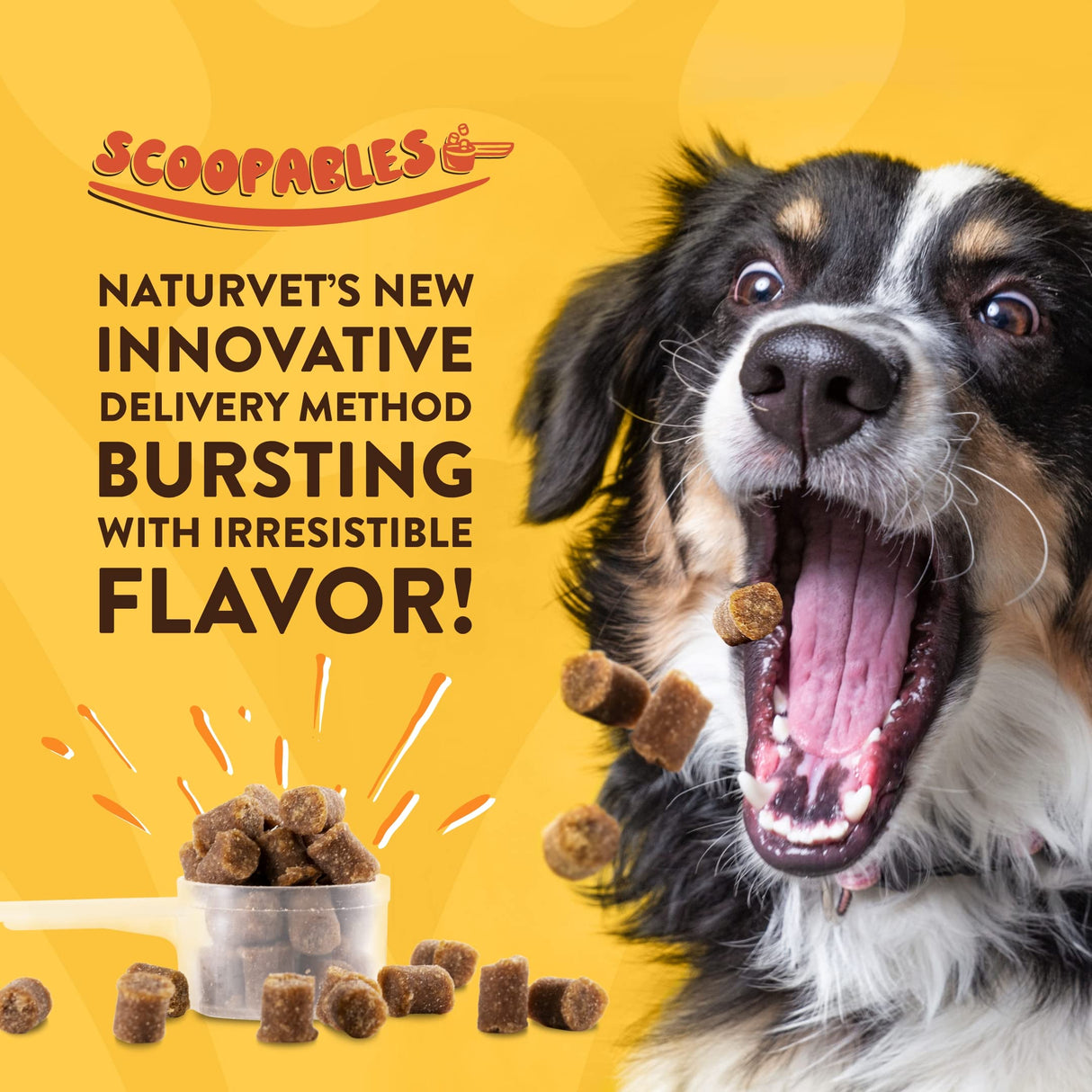 NaturVet Scoopables All-in-One Multivitamin for Dogs - Dog Vitamins and Supplements for Joint Support, Digestion, Skin & Coat Care & Immune - Hickory Smoked Bacon Flavor Vitamin Supplement | 11oz Bag