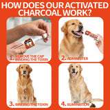 Activated Charcoal First Aid Kit -Emergency Support for Dogs, Cats & Puppies, Natural Charcoal Formula for Digestive Balance, Camping & Home Essential Oral Anti Diarrhea Digestive (60ml 1Tubes)