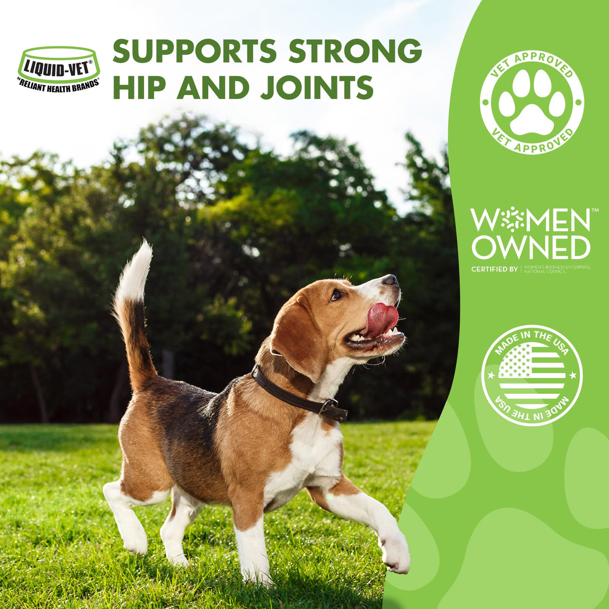 LIQUID-VET by Cool PET Holistics Dog Hip & Joint Advanced Supplement (Pot Roast, 32 oz)