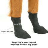 Kurgo Blaze Dog Socks - Enhances Shoe Fit - Wicks Away Moisture - Soft Stretch Fabric - Two Compression Zones - Covers Dew Claw - Easy to Put On - Small