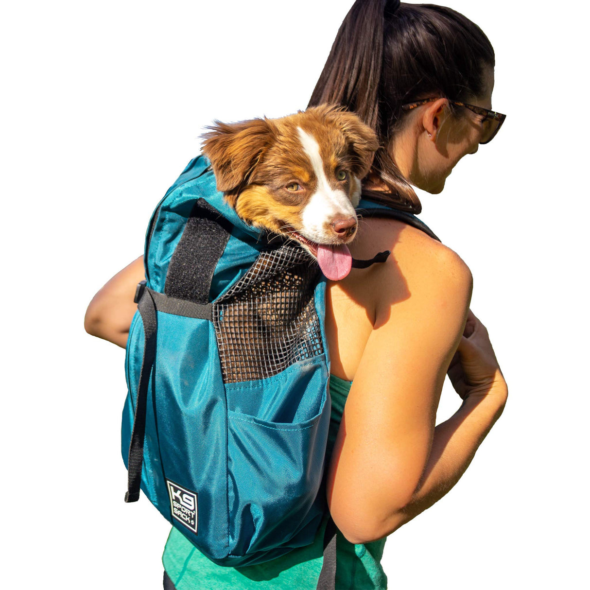 K9 Sport Sack Trainer - Large, Harbor Blue - Ideal for Dogs with 20-22” Back Length - Backpack-Style Training Carrier - Meant for Quick, Non-Strenuous Activities