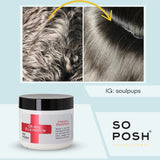 Oh Dog, It's a Miracle Coat Repair Mask - with Protein Complex & Vitamin B5, Suitable for All Breeds, Deeply Nourishing, Repairing & Strengthening, Silicone & Paraben Free. 16.9 Oz