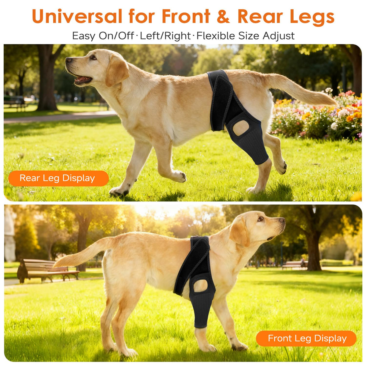Jorme Dog Knee Brace for Torn ACL, Dog Leg Brace for Post-Surgery Recovery, Arthritis & Luxating Patella,Side Stabilizers, Breathable Neoprene, Adjustable Velcro & Belly Band,Front/Rear Legs (L)