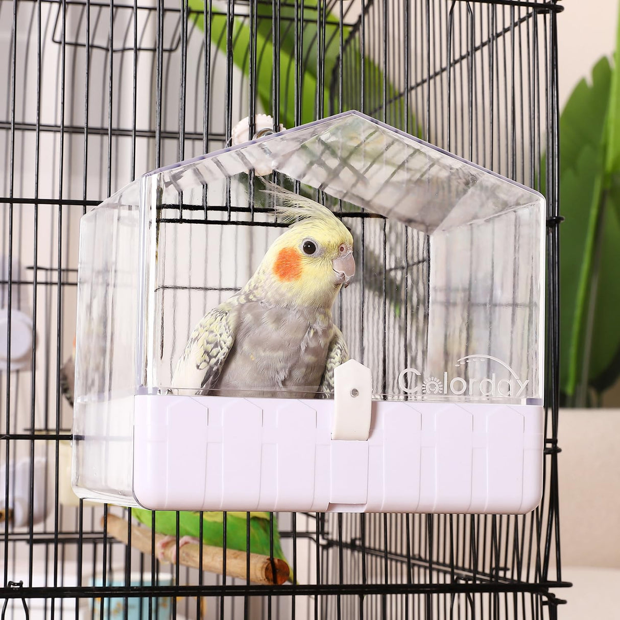 Colorday Bird Bath for Cage, Parrot Bath for Small to Medium Birds, Cockatiels, Parakeets, Budgie, Quaker, Conure, Lovebirds, Finches(6.7X6.7X7.74 inch)
