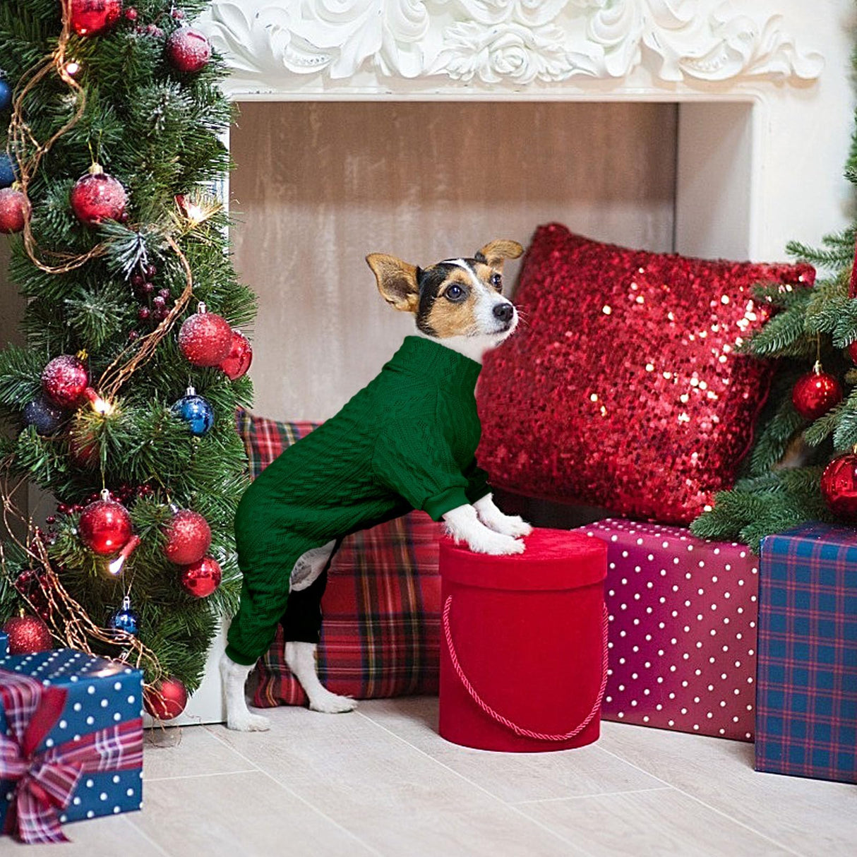 Dog Sweaters for Large Dogs Turtleneck Knitted Pet Clothes Solid Color Puppy Sweater Warm Dog Sweater(Green&XL)