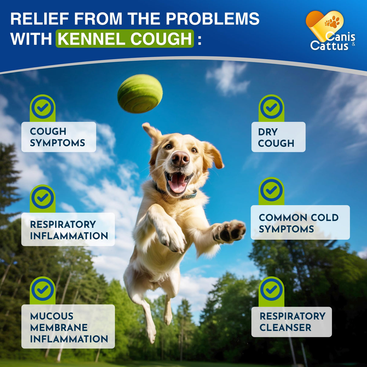 Kennel Cough Treatment for Dogs & Cats Helps with Sneezing, Throat Irritation & Allergies – Natural Dog Coughing Treatment for Breathing Support with Calendula Breeds Care – 2 oz