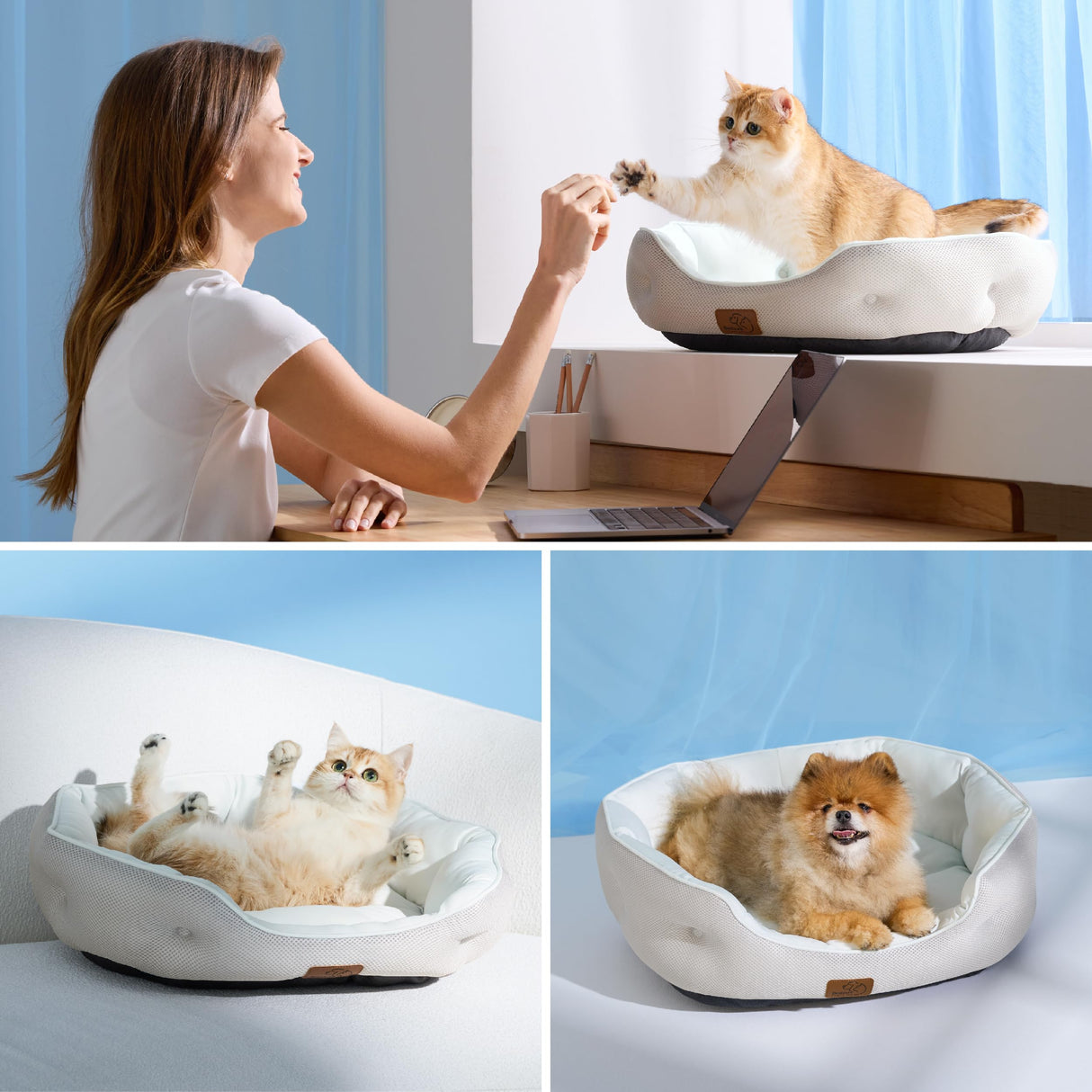 Bedsure Cooling Dog Beds for Small Dogs - Round Medium Cat Beds for Indoor Cats, Washable Pet Bed for Puppy and Kitten with Slip-Resistant Bottom, 25 Inches, Blue