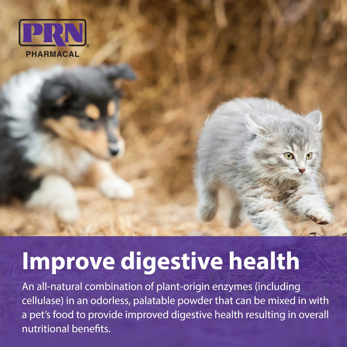 PRN Pharmacal ProZyme Original Formula Enzyme Replacement Supplement - Reinforces Animal's Gut Health, Supports Dog & Cat Food Breakdown - Promotes Pet's Digestive Health - 454 g, 1 lb Bottle
