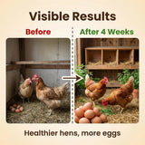 Naturals Chicken Dewormer Powder - Natural Herbal with Chili and Garlic, All-Natural Formula for Hens and Birds Duck Goose, Safe for Eggs,1LB Pouch (1)