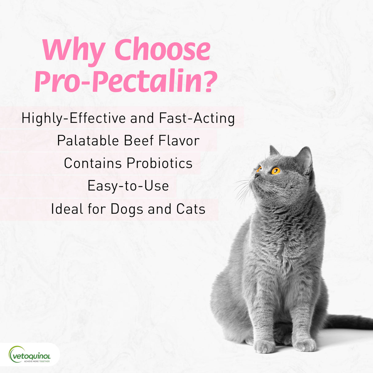 Vetoquinol Pro-Pectalin Chewable Tablets for Dogs & Cats, Helps Relieve Occasional Diarrhea, Situational Diarrhea Relief with Kaolin and Pectin, Contains Beneficial Probiotic Bacteria, 250 ct