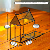 NCYP Small Glass Terrarium Enclosure with Mesh for Jumping Spiders, Micro House Shaped Succulent Plants Terrarium, Home Decor Black, 5.8" x 3.8" x 7" (No Plants)