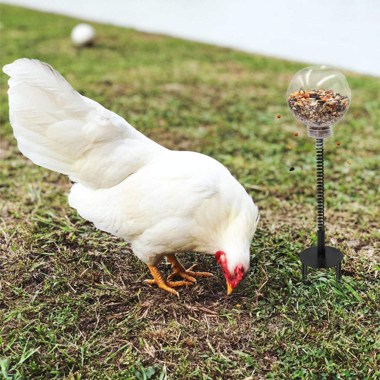 Oooct 2 Pack Chicken Peck Toy - Chicken Enrichment Toys with Swing Feeder & Slow Feeder for Hens, Ducks, Parrots
