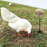 Oooct 2 Pack Chicken Peck Toy - Chicken Enrichment Toys with Swing Feeder & Slow Feeder for Hens, Ducks, Parrots