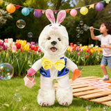 MuYaoPet Easter Bunny Dog Costume,3D Pet Rabbit Hat with Ears,Funny Cat Clothes Halloween Eater Party Mascot Outfit for Small Medium Dogs,Easter Egg Hunt Photo Props,L