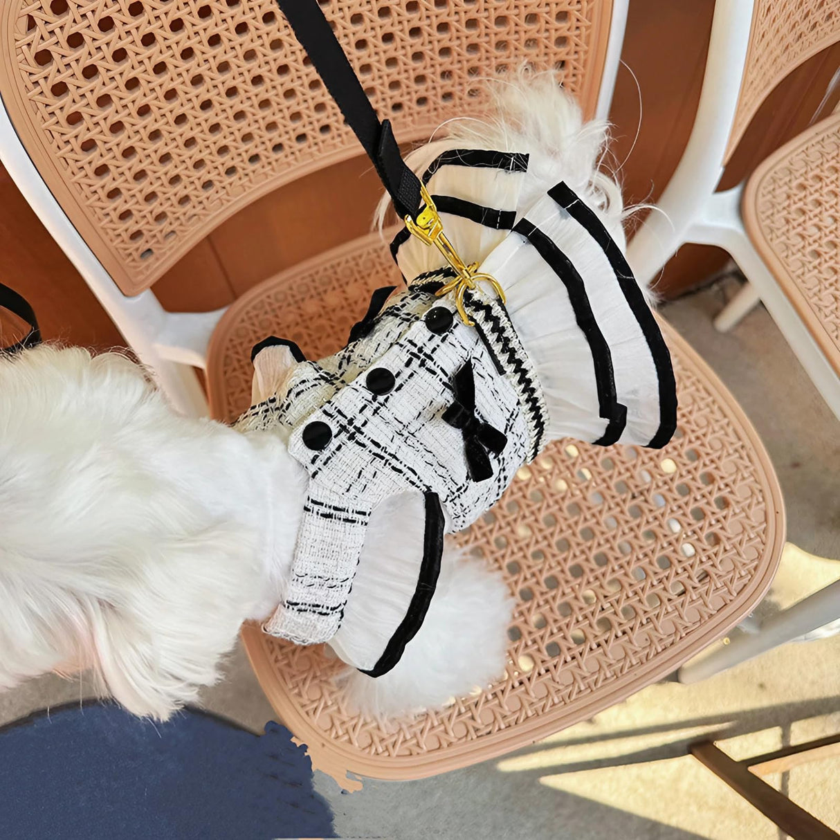 Elegant Dog Plaid Harness with 5FT Leash Set Bowknot Sleeveless Vest Cute Tweed Puppy Dress Outfits Pet Yorkie Birthday Wedding Clothes (Black & White, Small)