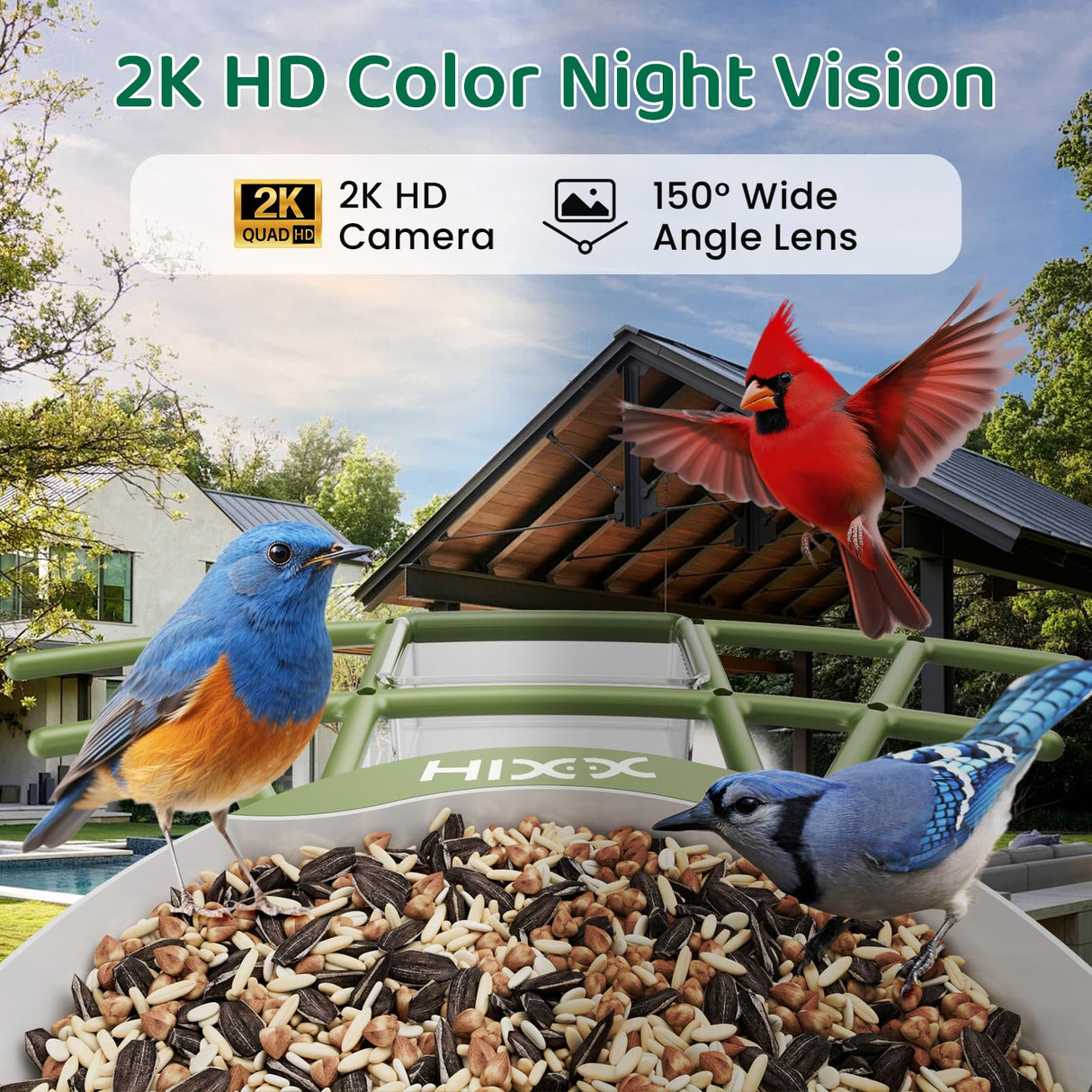 HIXX Smart Bird Feeder with Camera, AI Identify Birds & Auto Capture, 2K HD Live Camera Birdwatching with Color Night Vision for Bird Lovers Gifts (Forest Green)