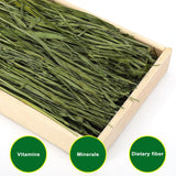 Ohcool Premium Oat Hay for Pets - Dust Free Natural Green Fresh Pet Food Hay for Rabbits, Guinea Pigs, Chinchillas, Hamsters & Gerbils - 1.1lbs